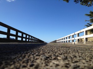 Tolaga Bay-The Mount-Cooks Beach-011